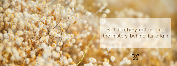 Uncover the history behind the origin of cotton in India