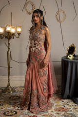Akari Pre Draped Saree