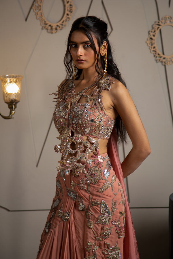 Akari Pre Draped Saree