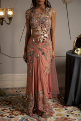 Akari Pre Draped Saree