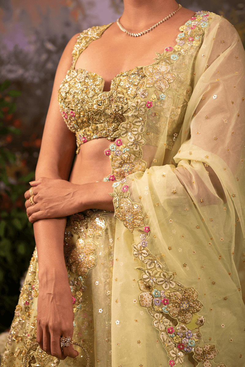 Detailed view of sage green sweetheart neckline blouse adorned with intricate nakshi, dabka embroidery, shiny sequins, and handcrafted embellishments.